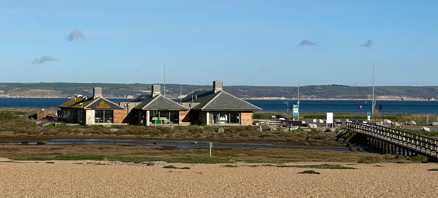 Pebble Pig Chesil Beach, Weymouth